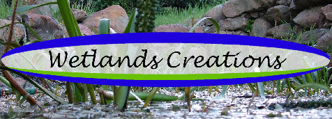 Wetlands Creations